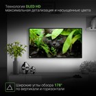 Телевизор LED Digma 43" DM-LED43SBB31 Яндекс.ТВ черный FULL HD 60Hz DVB-T DVB-T2 DVB-C DVB- 102953 - фото 51597028 Телевизор LED Digma 43" DM-LED43SBB31 Яндекс.ТВ черный FULL HD 60Hz DVB-T DVB-T2 DVB-C DVB- 102953 - фото 51597028