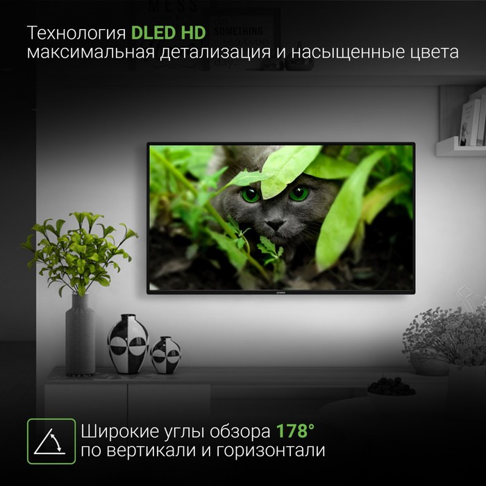 Телевизор LED Digma 43" DM-LED43SBB31 Яндекс.ТВ черный FULL HD 60Hz DVB-T DVB-T2 DVB-C DVB-   102953 - фото 51597028