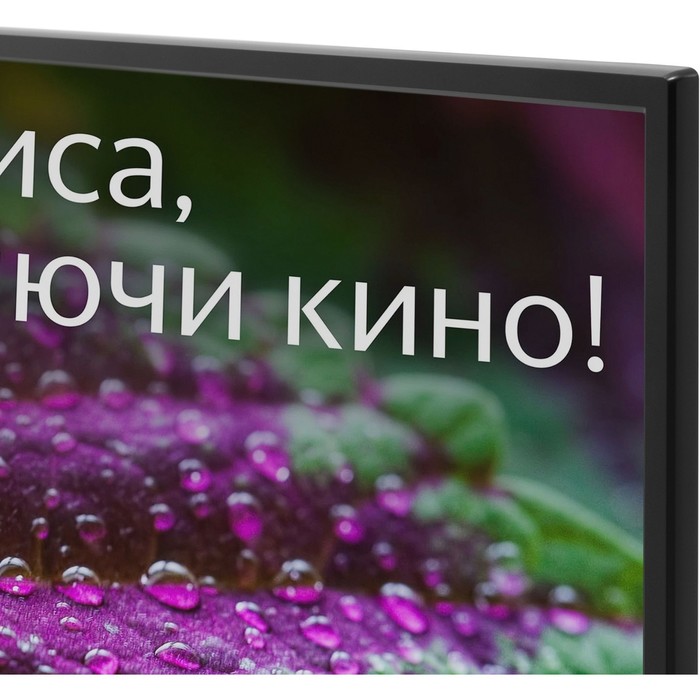 Телевизор LED Digma 43" DM-LED43SBB31 Яндекс.ТВ черный FULL HD 60Hz DVB-T DVB-T2 DVB-C DVB-   102953 - фото 51597031