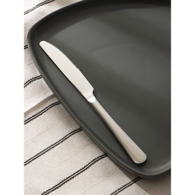 Нож столовый из нержавеющей стали «Моника», длина 23,5 см, цвет серебряный