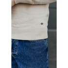 Джемпер мужской Isee, размер 56, цвет бежевый - Фото 14