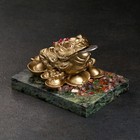 Сувенир "Денежная жаба", 7х10х7 см, змеевик, гипс - фото 10024860