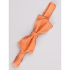 Галстук-бабочка для мальчиков Isee, цвет оранжевый - Фото 1