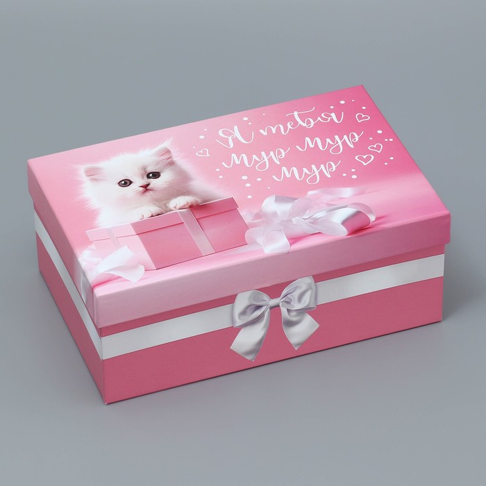 Коробка подарочная прямоугольная, упаковка, «Мур-мур», 22 х 14 х 8.5 см - Фото 1