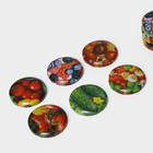 Крышка для консервирования Komfi «Калейдоскоп», ТО-66 мм, жесть, винтовая, лак, литография, фасовка 20 шт., разноцветная - Фото 3