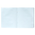 Тетрадь предметная "Фразы с характером", 48 листов в линию "Литература", обложка мелованный картон, выборочный твин-лак, УФ-лак, блок офсет - фото 23989379