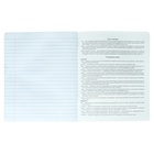 Тетрадь предметная "Фразы с характером", 48 листов в линию "Литература", обложка мелованный картон, выборочный твин-лак, УФ-лак, блок офсет - фото 23989380