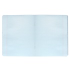 Тетрадь предметная "Фразы с характером", 48 листов в клетку "Обществознание", обложка мелованный картон, выборочный твин-лак, УФ-лак, блок офсет - фото 23989384