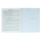 Тетрадь предметная "Яркие детали", 48 листов в линию "Литература", обложка мелованный картон, выборочный твин-лак, УФ-лак, блок офсет - фото 23976213