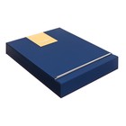 Органайзер на кольцах А6+, 80 листов, кожзам, c хлястиком, линия, с ручкой, в подарочной коробке, синий - фото 9636204