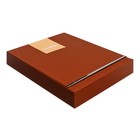 Органайзер на кольцах А6+, 80 листов, кожзам, c хлястиком, линия, с ручкой, в подарочной коробке, коричневый - фото 9636218