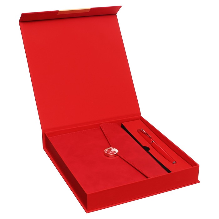 Органайзер на кольцах А6+, 80 листов, кожзам, c клапаном, линия, с ручкой, в подарочной коробке, красный - Фото 1