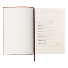 Ежедневник недатированный А5, 80 листов, линия, обложка кожзам лайт, коричневый 10222835