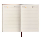 Ежедневник недатированный А5, 80 листов, линия, обложка кожзам лайт, коричневый 10222835