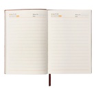 Ежедневник недатированный А5, 80 листов, линия, обложка кожзам лайт, коричневый 10222836