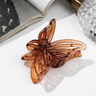 Краб для волос "Глянец" бабочка полоски, 7 см, микс - фото 321416346