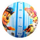 Мяч детский «Щенячий патруль», с наклейкой, d=23 см, полноцветный - Фото 3