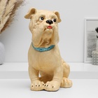 Копилка "Бульдог" бежевый, 30х25х14 - фото 23910484