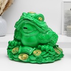 Копилка "Жаба на деньгах" зеленая, 22х25х23см - фото 23910523