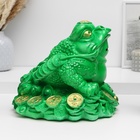 Копилка "Жаба на деньгах" зеленая, 22х25х23см - фото 23910525