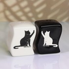 Набор керамический для специй на металлической подставке «Коты», 2 шт, цвет белый-чёрный - Фото 2