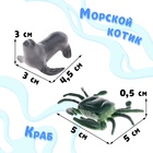 Игровой набор «Морской город», морские животные в чемодане - фото 9636755