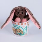 УЦЕНКА Набор «Зайка Li» игрушка в кружке, 16 см 10429391