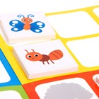 Развивающий набор «Эволюция»: животные, растения, насекомые, в пакете - фото 24599394