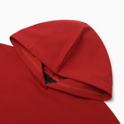 Костюм женский (толстовка и брюки) MIST, р. 44-46, бордовый 10198681