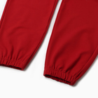 Костюм женский (толстовка и брюки) MIST, р. 44-46, бордовый 10198681