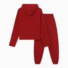 Костюм женский (толстовка и брюки) MIST, р. 44-46, бордовый 10198681