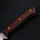 Нож кухонный филейный Wild Kitchen, сталь 95×18, лезвие 17 см - Фото 6