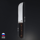 Нож - пчак кухонный Wild Kitchen, сталь 95×18, лезвие 16,5 см - фото 4442402