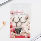 Брелок для ключей парный, «Любовь», металл, 8 х 3 см - Фото 10