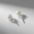 Серьги пусеты в коробке QF «Жемчужинки», 108 пар, 4, 5, 6 мм, цвет молочный в серебре - Фото 3