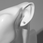 Пусеты в коробке 108 пар «Жемчужинки», 4, 5, 6 мм, цветные в серебре - Фото 3