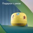 Умная колонка VK Нео (VKSP11YL), голосовой помощник Маруся, 5Вт, Wi-Fi, BT 5.0, желтая - фото 9638088
