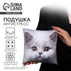 Подушка декоративная антистресс, кот «Британец» - Фото 1