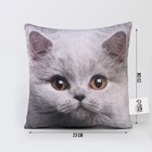 Подушка декоративная антистресс, кот «Британец» - Фото 2