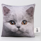 Подушка декоративная антистресс, кот «Британец» - Фото 3