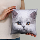 Подушка декоративная антистресс, кот «Британец» - Фото 7