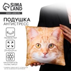 Подушка декоративная антистресс, кот «Рыжик» - Фото 1