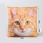 Подушка декоративная антистресс, кот «Рыжик» - Фото 2