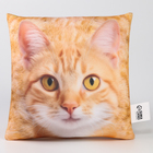 Подушка декоративная антистресс, кот «Рыжик» - Фото 3