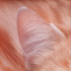 Подушка декоративная антистресс «Кот» - Фото 5