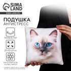 Подушка декоративная антистресс, кот «Рэгдолл» - Фото 1