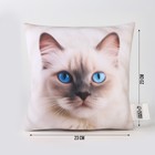 Подушка декоративная антистресс, кот «Рэгдолл» - Фото 2
