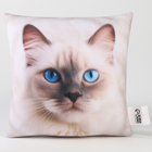 Подушка декоративная антистресс, кот «Рэгдолл» - Фото 3