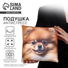Подушка декоративная антистресс, собака «Шпиц» - Фото 1
