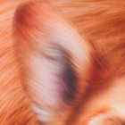 Подушка декоративная антистресс, собака «Корги» - Фото 5